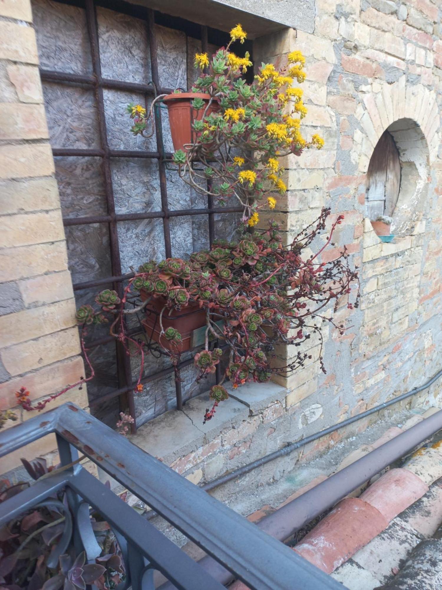 Coltavolino Fattoria Di Rigoneヴィラ エクステリア 写真