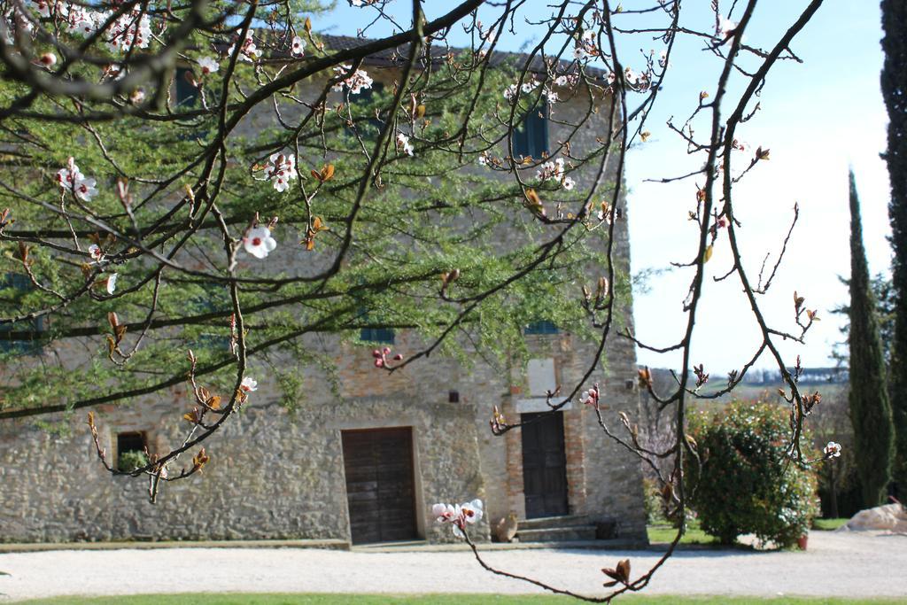 Coltavolino Fattoria Di Rigoneヴィラ エクステリア 写真