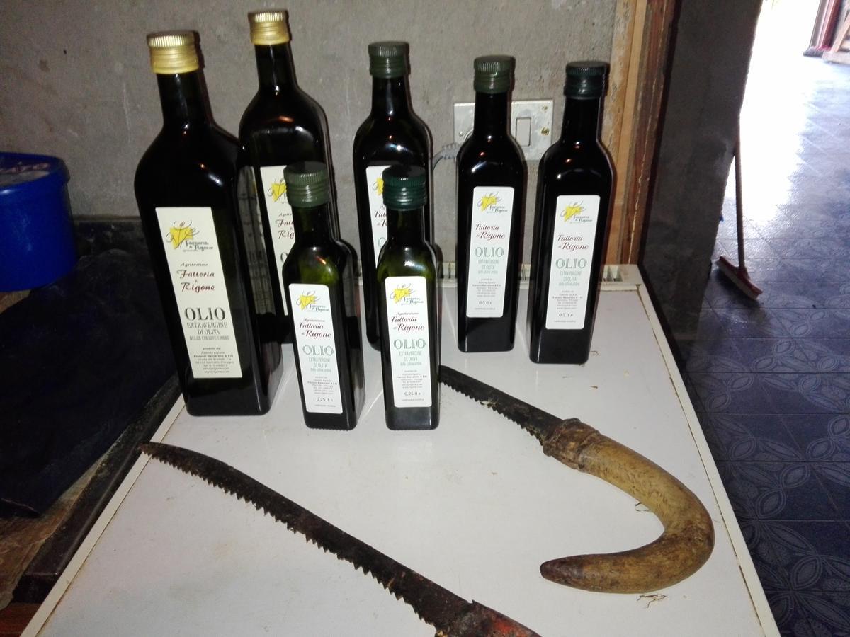 Coltavolino Fattoria Di Rigoneヴィラ エクステリア 写真